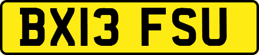 BX13FSU