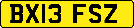 BX13FSZ