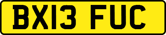 BX13FUC