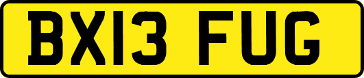 BX13FUG