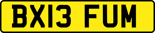 BX13FUM