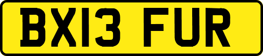 BX13FUR