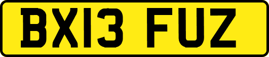 BX13FUZ