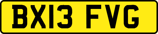 BX13FVG