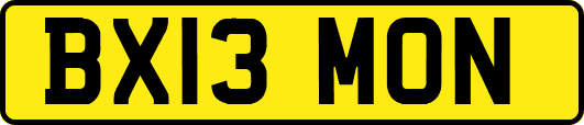 BX13MON