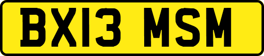 BX13MSM
