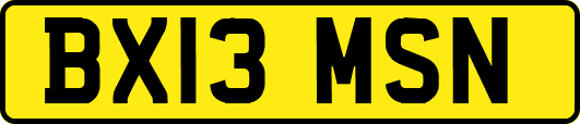 BX13MSN