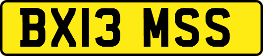 BX13MSS