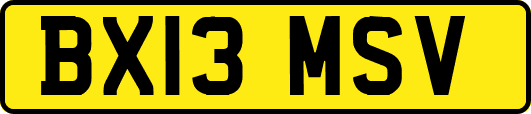 BX13MSV