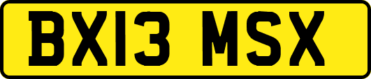 BX13MSX