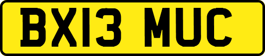 BX13MUC