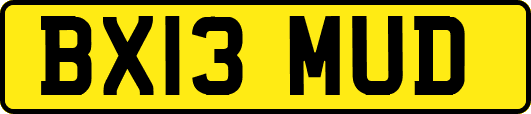 BX13MUD