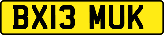 BX13MUK