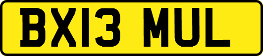 BX13MUL