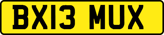 BX13MUX