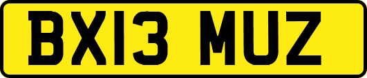 BX13MUZ