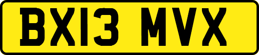 BX13MVX