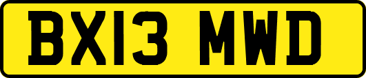 BX13MWD