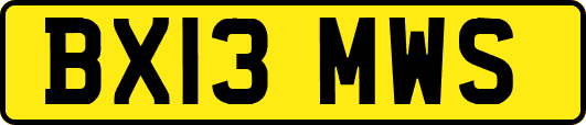 BX13MWS