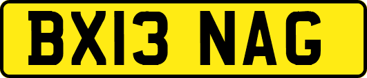 BX13NAG