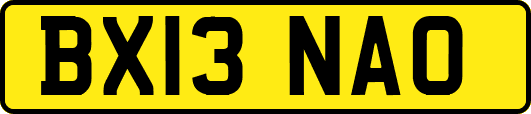 BX13NAO