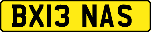 BX13NAS