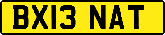 BX13NAT