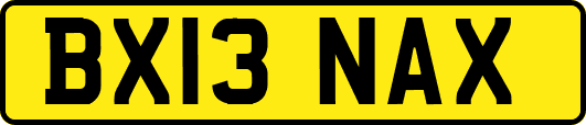 BX13NAX