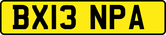 BX13NPA