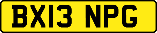 BX13NPG