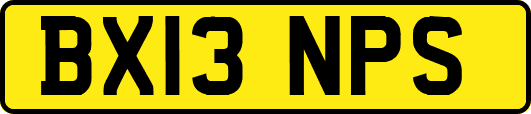 BX13NPS