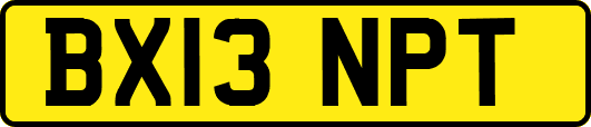 BX13NPT