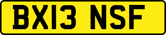 BX13NSF