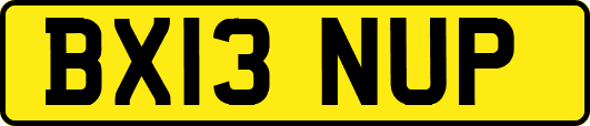 BX13NUP