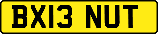 BX13NUT