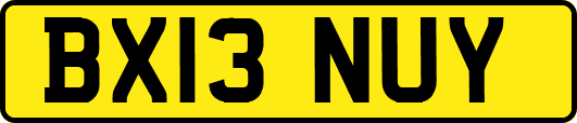 BX13NUY