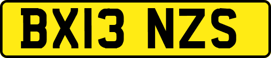BX13NZS