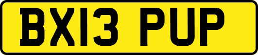 BX13PUP