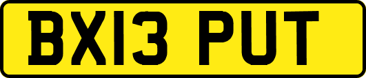 BX13PUT
