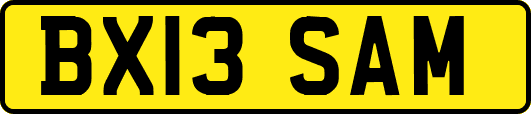 BX13SAM