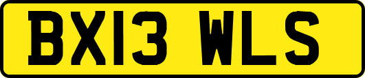 BX13WLS