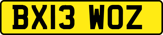 BX13WOZ