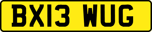 BX13WUG