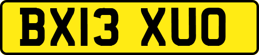 BX13XUO