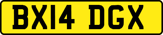 BX14DGX