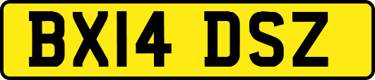 BX14DSZ