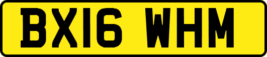 BX16WHM