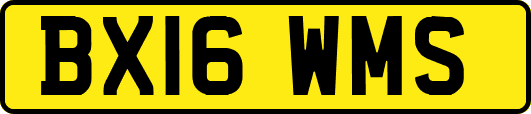 BX16WMS