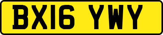 BX16YWY