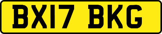 BX17BKG